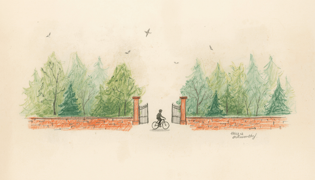 Pala Pitta Cycling Park: One of Hyderabad’s Easiest Places to Rediscover Cycling